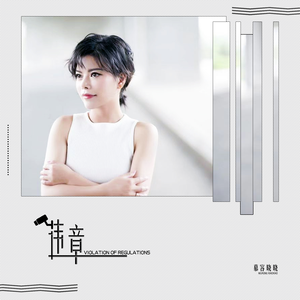 违章 (伴奏)