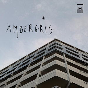 Ambergris (feat. Nicolò Ricci, Marcella Malacrida, Marco Rottoli, Andrea Di Biase, Giovanni Agosti, Marco Giongrandi & Riccardo Chiaberta)