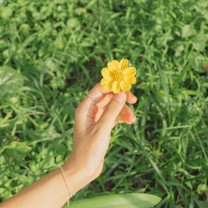 보름달이 피는 밤