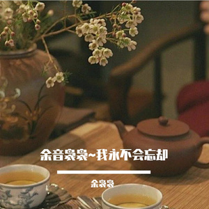 余音袅袅~我永不会忘却