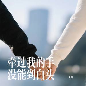 牵过我的手没能到白头