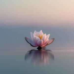 수연 – 고요한 마음 (Suyon – Clear Stillness)