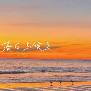 落日与候鸟