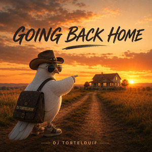Going Back Home