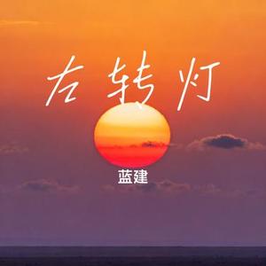 左转灯 (蓝建 Remix)