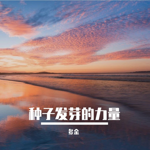 种子发芽的力量