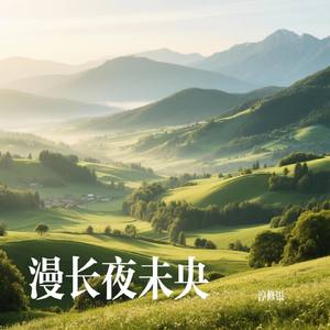 漫长夜未央