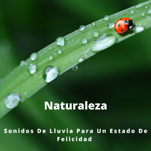 Música Para Un Día De Spa