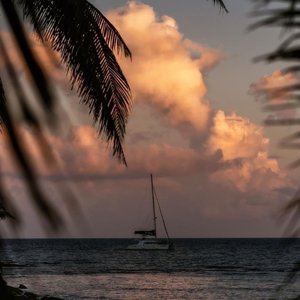 旅行中忘记（cover：袁娅维）