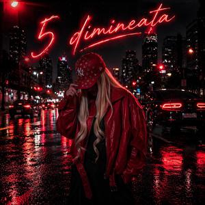 5 dimineața