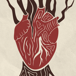 O Cerrado Descuidado