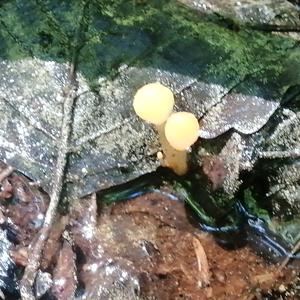 Про мене і про світ