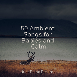 Whispers of the Sun Kissed Sky