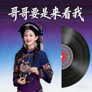 哥哥要是来看我