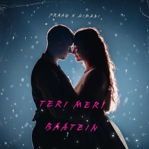 Teri Meri Baatein