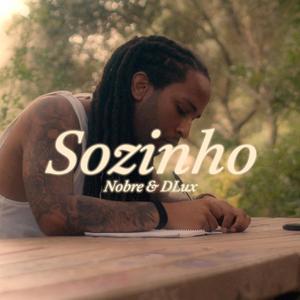 Sozinho (feat. D'Lux)