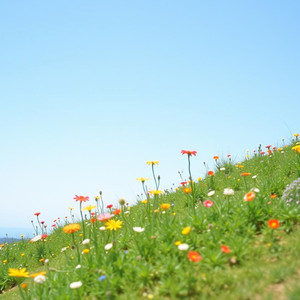 誰かのokなんていらない 「好き」に寄りかかって、生きていこう