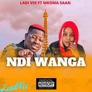 NDI WANGA (feat. MKOMA SAAN)