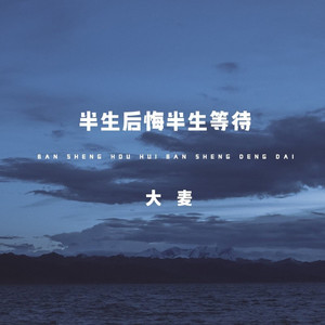 半生后悔半生等待