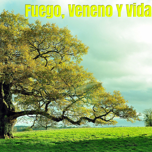 Receta Para No Voltear