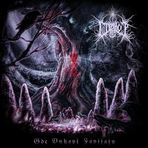 For Those Who Follow The Heart