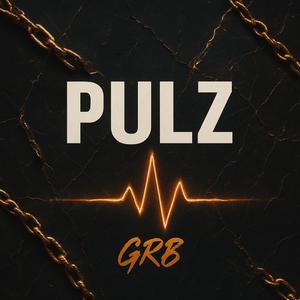 Pulz