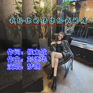 我给你的伤你给我的痛（梦琪）