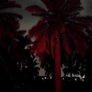 MAHAMBO NIGHT FREESTYLE