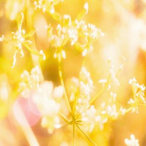 растворение