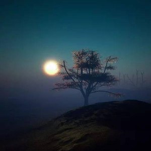 我陪你天荒地老