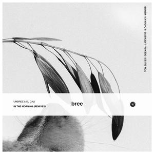 In The Morning (Deekrai Remix)