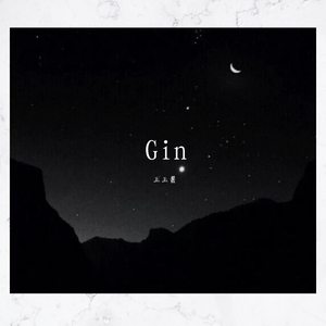 Gin