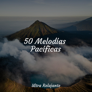 Puerta De Entrada Al Nirvana