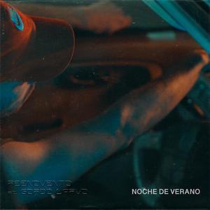 NOCHE DE VERANO (feat. Gordo Larvo & Chala)