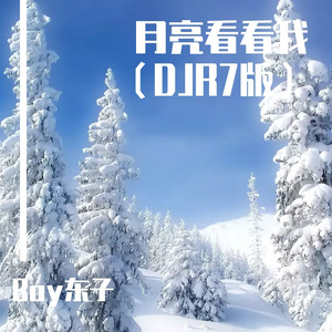 月亮看看我（DJR7版）（Redo：海来阿木 | Boy东子 remix）