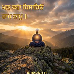 ਮਨ ਕਹਾ ਬਿਸਾਰਿਓ ਰਾਮ ਨਾਮੁ ॥