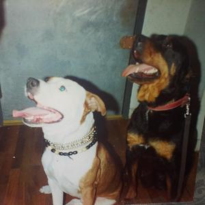 D.O.G. (feat. Raheim)