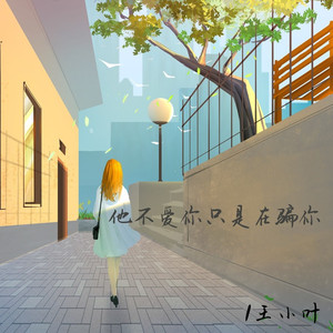 他不爱你只是在骗你 (DJ版)