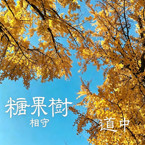 糖果树（相守版）