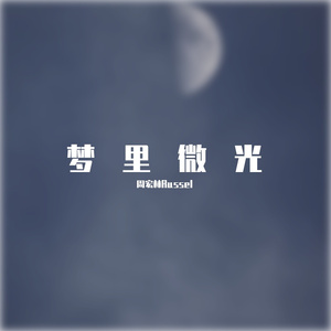 梦里微光(to：梦微)