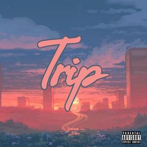 Trip (feat. NiccoFeem, Marcus Alland & D. Marie)