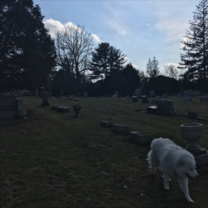 i wanted to be someone (prod. tangent)