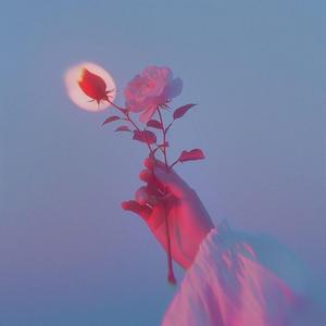 Pink Rose (Cute Version)