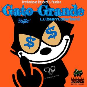 Gato Grande (feat. Lulbearrubberband)