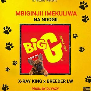 Mbiginjii Imekulwa Na Ndogii