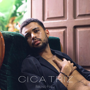 Cicatriz