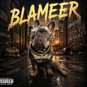 Blameer