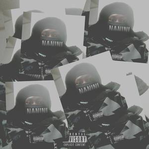 Nanini (type beat) instrument