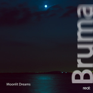 Moonlit Dreams