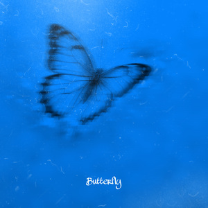 蝴蝶Butterfly(prod by aura+danielsaint)